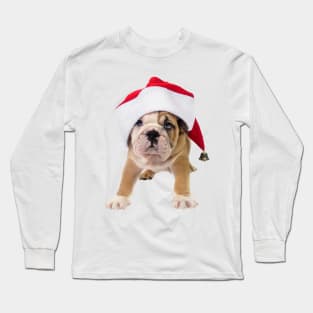 Pug Puppy Santa Claws Long Sleeve T-Shirt